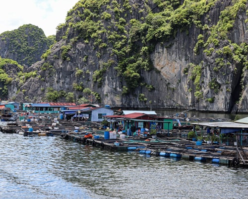 World Tour Sample - Best Offset